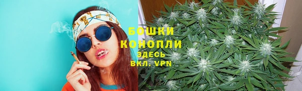 стаф Вязники