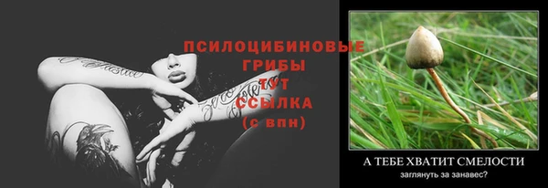 тгк Вязьма