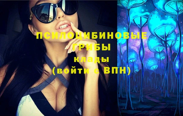 стаф Вязники