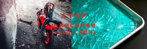 стаф Вязники