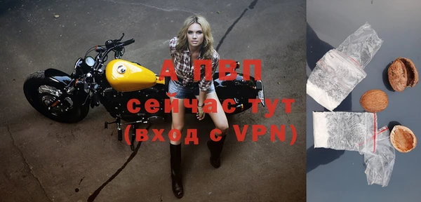 стаф Вязники