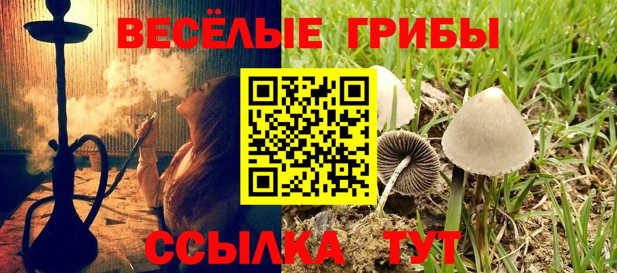Галлюциногенные грибы прущие грибы  Вход с VPN  Нерюнгри 