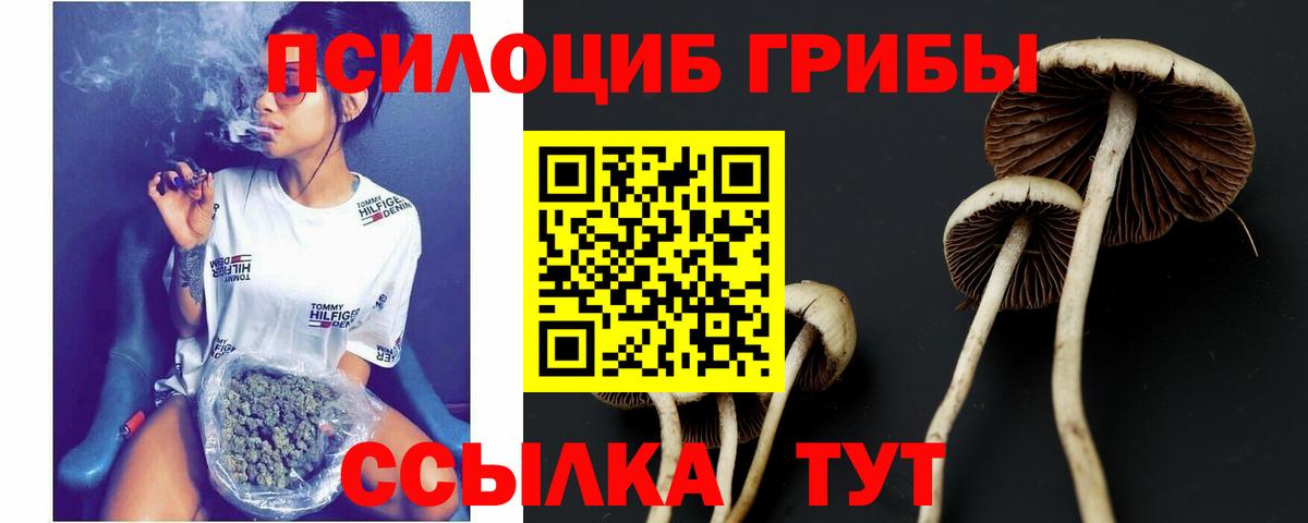 Галлюциногенные грибы MAGIC MUSHROOMS Нерюнгри