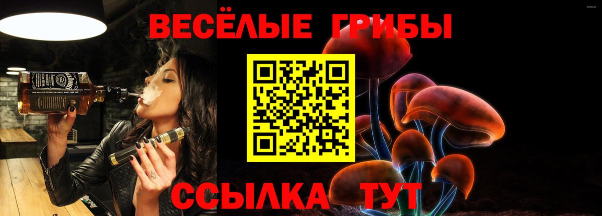 Галлюциногенные грибы Psilocybine cubensis  Нерюнгри  Галлюциногенные грибы Magic Shrooms 